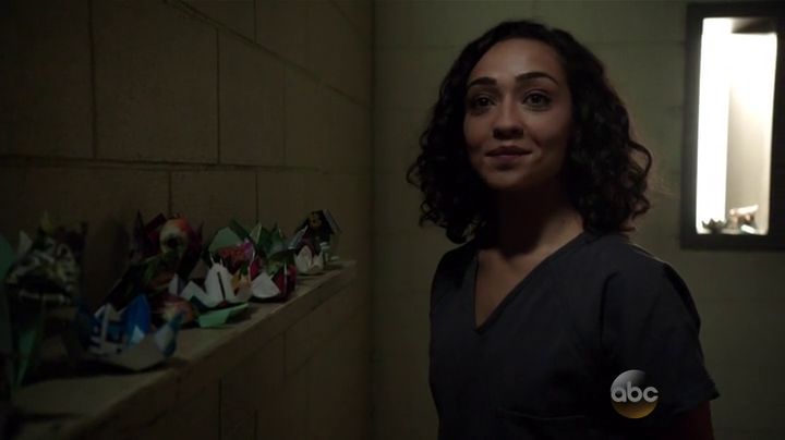 Raina's picked up a new hobby while incarcerated. (Agents of SHIELD S01E18)