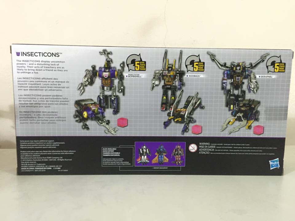 Back of the box. (Platinum Edition Insecticons)