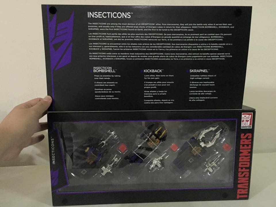 Under the flap. (Platinum Edition Insecticons)