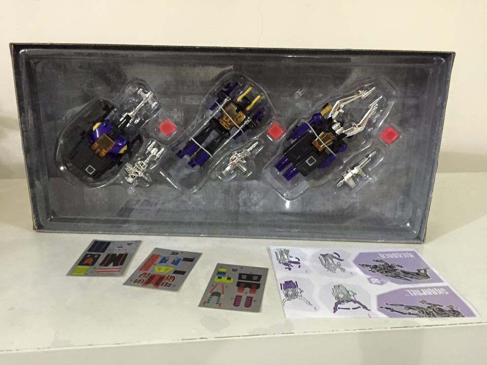 Plus instructions and stickers. (Platinum Edition Insecticons)