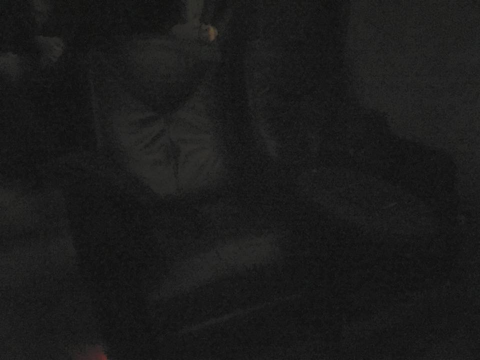 The seats. Yeah I took a picture in the dark.