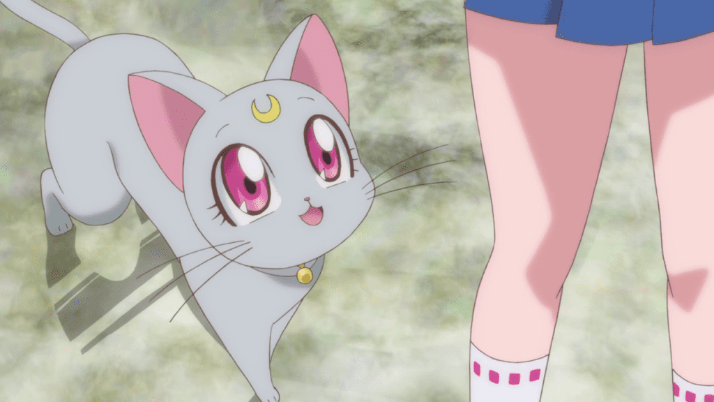 Diana. ("Crystal Tokyo –King Endymion–" Sailor Moon Crystal S01E20)