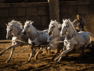 Chariot racing in "Ben-Hur." (United International Pictures)