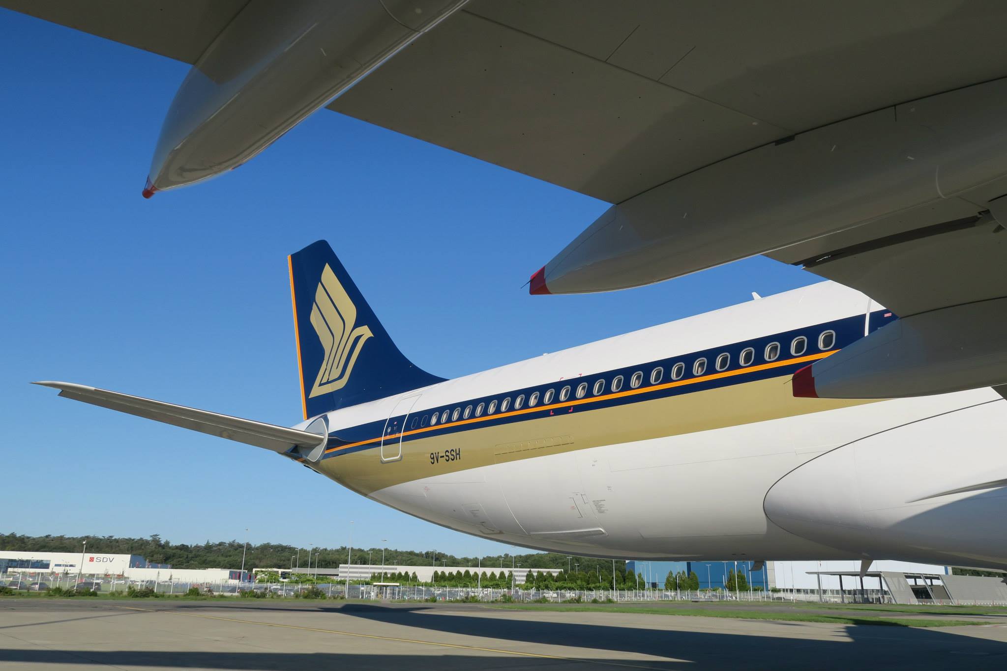 Fin. (Singapore Airlines Facebook Page)