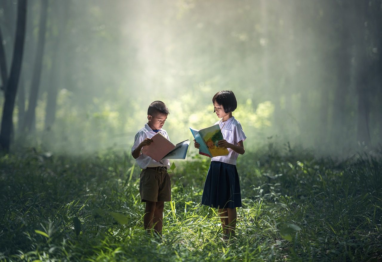 Learning Maths in a forest. (Pixabay)