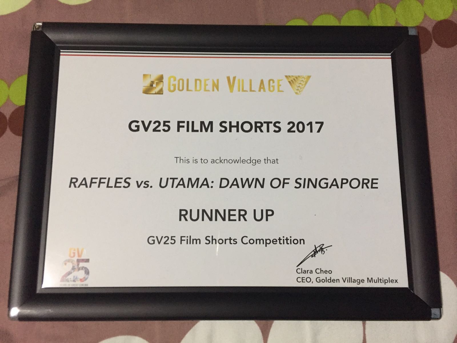 Runner Up for the GV25 Film Shorts Competition