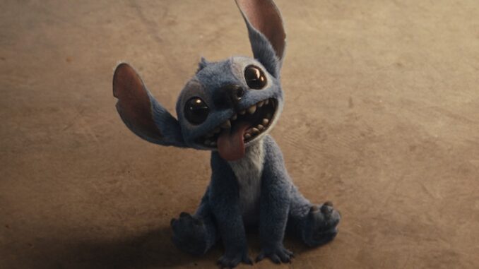 Stitch in Disney’s live-action LILO & STITCH. Photo courtesy of Disney. © 2025 Disney Enterprises Inc. All Rights Reserved.