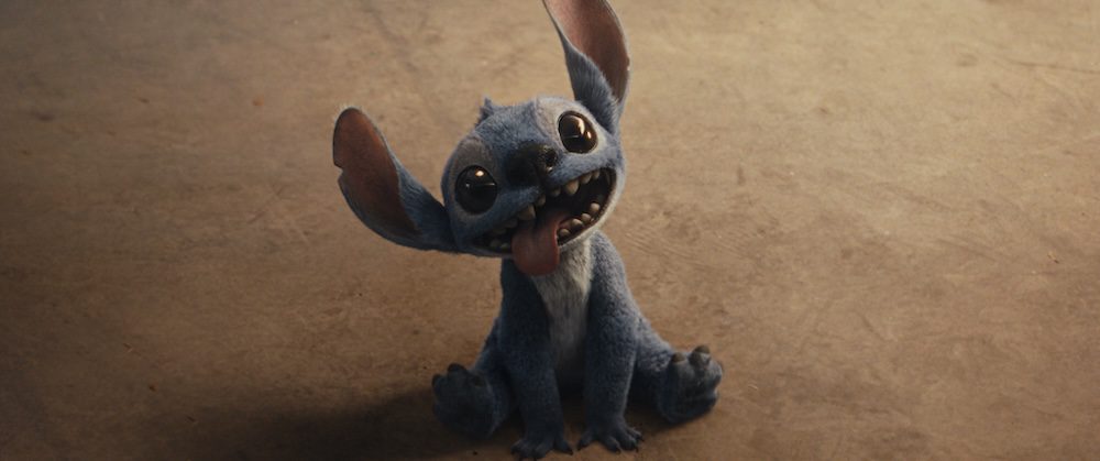 Stitch in Disney’s live-action LILO & STITCH. Photo courtesy of Disney. © 2025 Disney Enterprises Inc. All Rights Reserved.